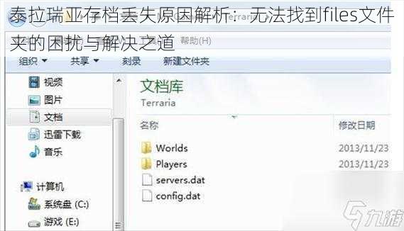 泰拉瑞亚存档丢失原因解析：无法找到files文件夹的困扰与解决之道