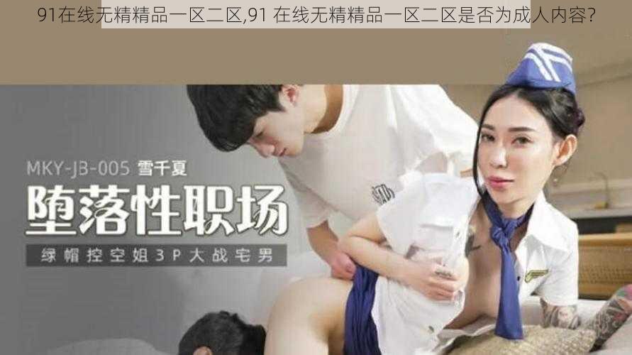 91在线无精精品一区二区,91 在线无精精品一区二区是否为成人内容？