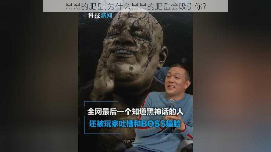 黑黑的肥岳;为什么黑黑的肥岳会吸引你？