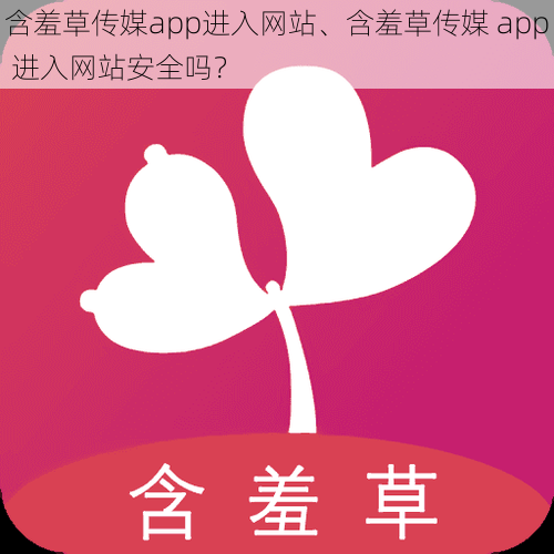 含羞草传媒app进入网站、含羞草传媒 app 进入网站安全吗？