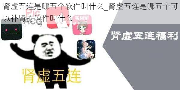 肾虚五连是哪五个软件叫什么_肾虚五连是哪五个可以补肾的软件叫什么