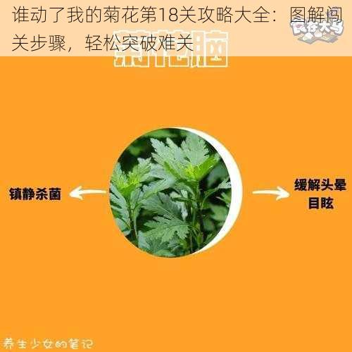 谁动了我的菊花第18关攻略大全：图解闯关步骤，轻松突破难关