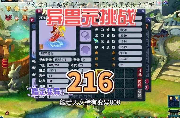 梦幻诛仙手游妖兽传奇：西瓜猫资质成长全解析