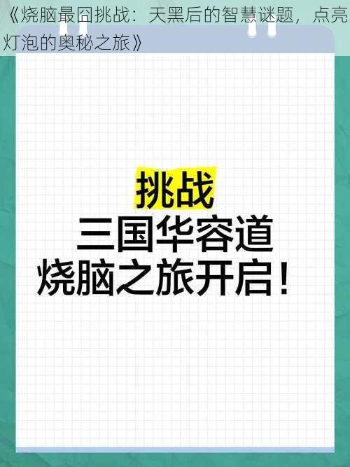 《烧脑最囧挑战：天黑后的智慧谜题，点亮灯泡的奥秘之旅》