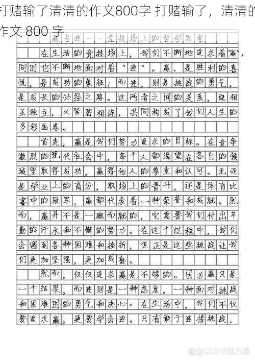 打赌输了清清的作文800字 打赌输了，清清的作文 800 字