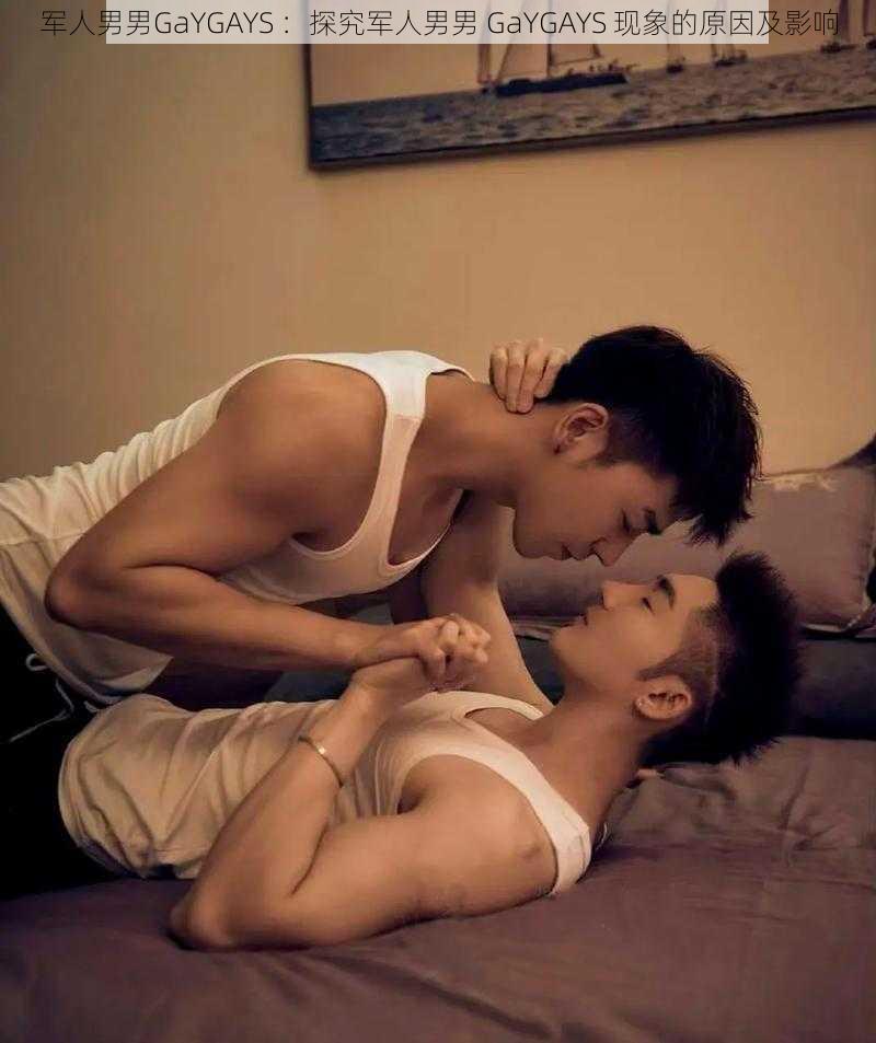 军人男男GaYGAYS ：探究军人男男 GaYGAYS 现象的原因及影响