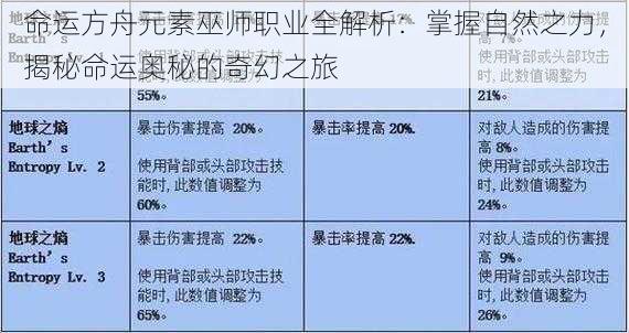 命运方舟元素巫师职业全解析：掌握自然之力，揭秘命运奥秘的奇幻之旅