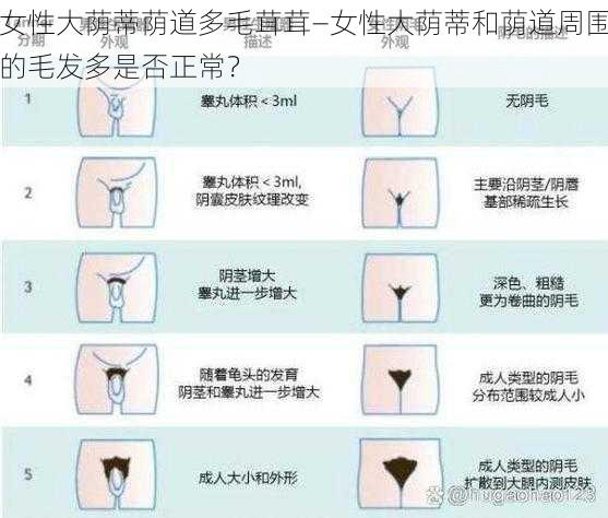 女性大荫蒂荫道多毛茸茸—女性大荫蒂和荫道周围的毛发多是否正常？