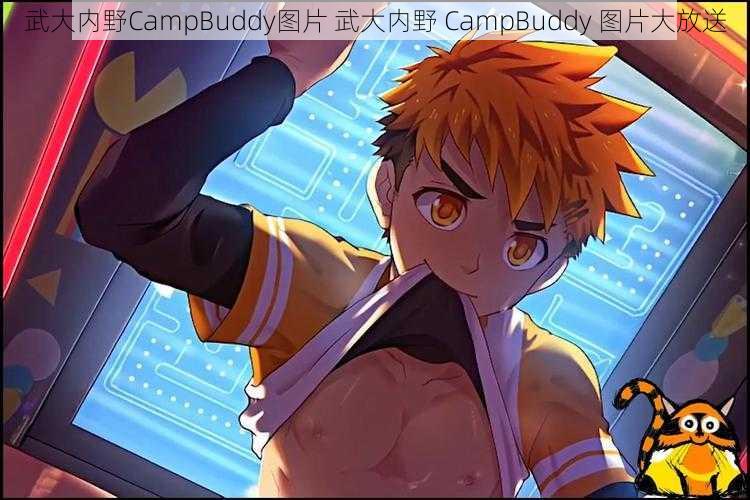 武大内野CampBuddy图片 武大内野 CampBuddy 图片大放送