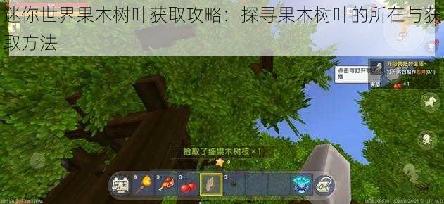 迷你世界果木树叶获取攻略：探寻果木树叶的所在与获取方法