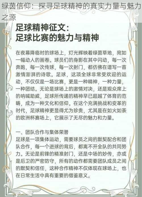 绿茵信仰：探寻足球精神的真实力量与魅力之源