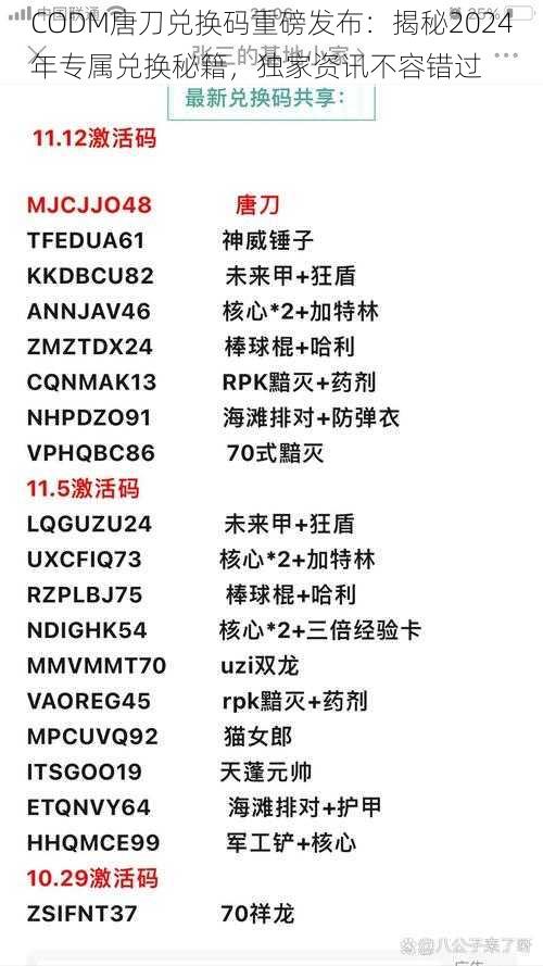 CODM唐刀兑换码重磅发布：揭秘2024年专属兑换秘籍，独家资讯不容错过