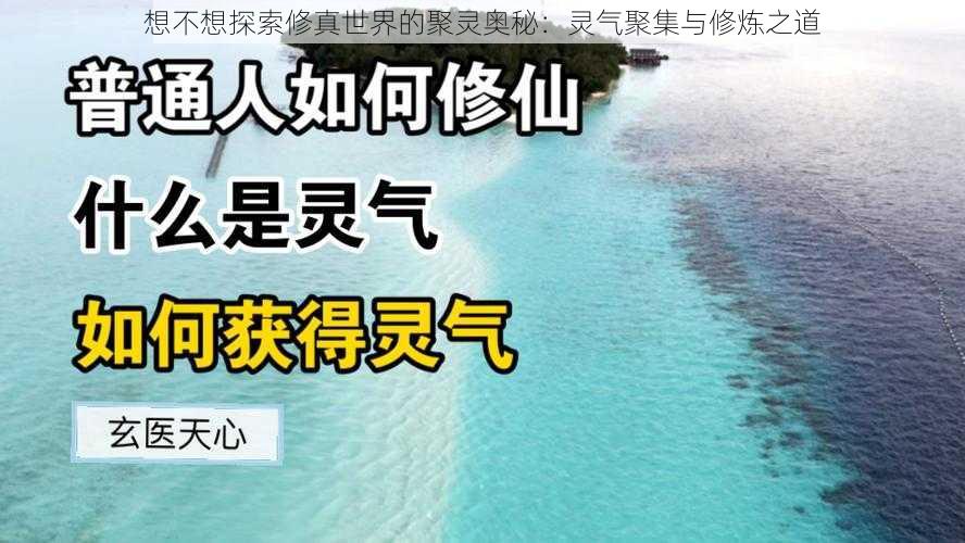 想不想探索修真世界的聚灵奥秘：灵气聚集与修炼之道