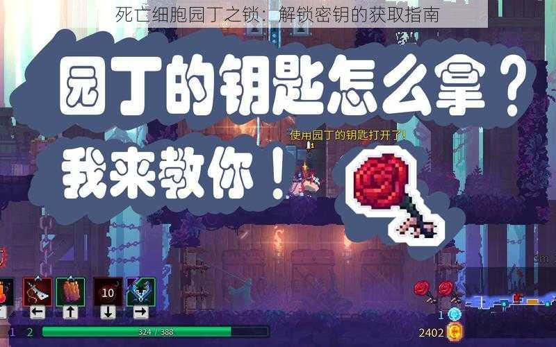 死亡细胞园丁之锁：解锁密钥的获取指南