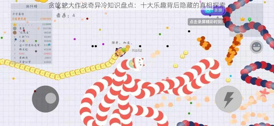 贪吃蛇大作战奇异冷知识盘点：十大乐趣背后隐藏的真相探索