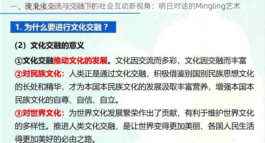 跨文化交流与交融下的社会互动新视角：明日对话的Mingling艺术