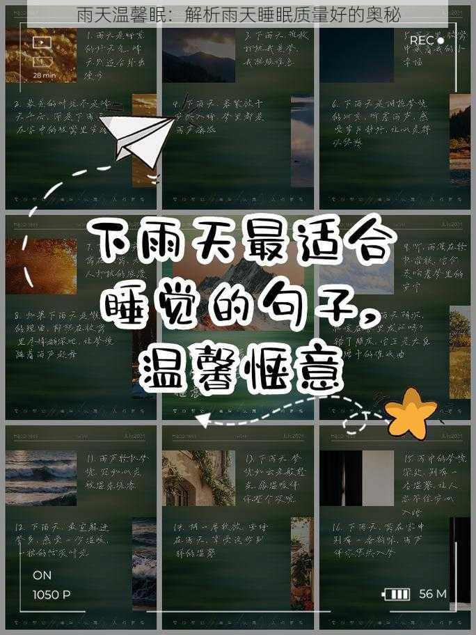 雨天温馨眠：解析雨天睡眠质量好的奥秘