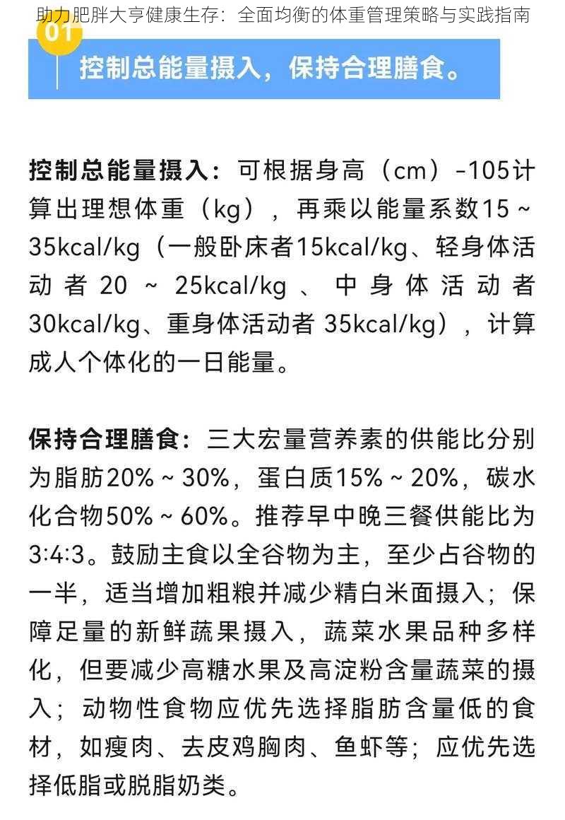 助力肥胖大亨健康生存：全面均衡的体重管理策略与实践指南