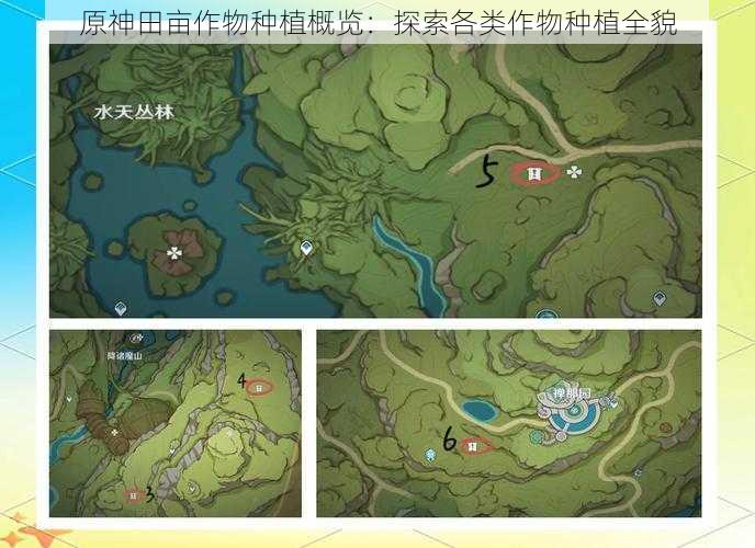 原神田亩作物种植概览：探索各类作物种植全貌