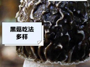 蘑菇黑料爆料事件视频：深挖背后的产品