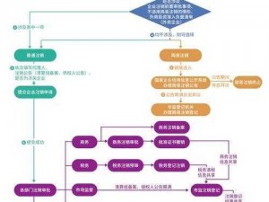 元梦之星注销：全面解读注销流程，洞悉未来发展趋势，共创行业新篇章