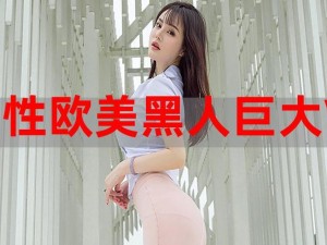 欧美 video 精彩不断，尽在这里