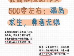 荒岛生存新手养成记：荒岛英雄的成长之道与必备素质