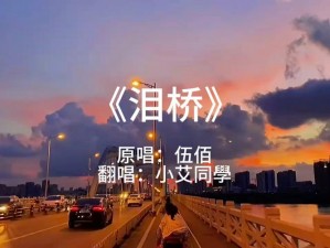 抖音夜半天桥风情曲：深夜过桥遇见的音乐旋律