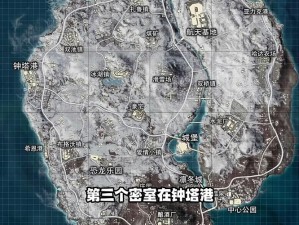 和平精英极寒模式深度解析：极寒模式玩法攻略与实战体验分享