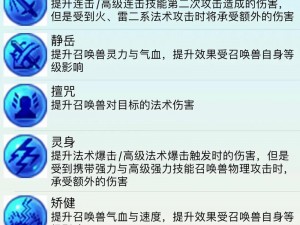 关于梦幻西游手游法宠内丹选择攻略与推荐，你该如何选择合适的法宠内丹？