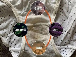 蜜桃91精品秘 入口内裤包裹;蜜桃 91 精品秘入口，内裤包裹的极致诱惑