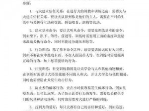 k9犬奴化训练教程日记、k9 犬奴化训练教程：从入门到精通的详细日记