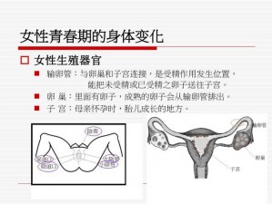 青春期生殖健康知识科普 PPT