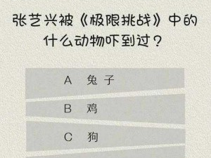 最新一期《真爱粉大作战》中真爱粉判断题数量揭秘：挑战你的知识极限