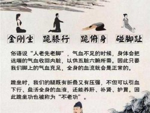 古代人生体魄强化之道：体魄锻炼与养生秘诀探寻