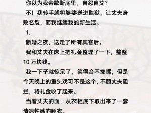 公与媳系列 100 集小说阅读：精彩绝伦的家庭伦理故事