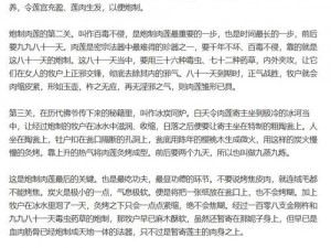 肉莲法器是什么 什么是肉莲法器？为何它会引起如此大的争议？