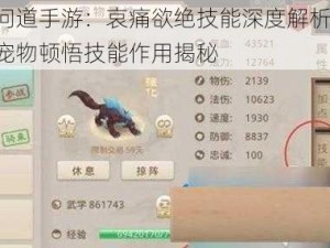 问道手游：哀痛欲绝技能深度解析，宠物顿悟技能作用揭秘