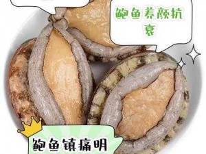 为什么鲍鱼有些硬有些软？原来是因为它们的生长环境和处理方式不同