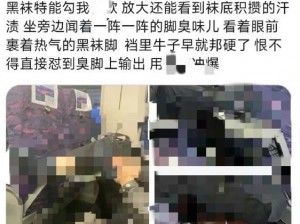 Gay 警察被黑袜主玩弄 j 小说：黑丝诱惑，极致体验，尽在其中