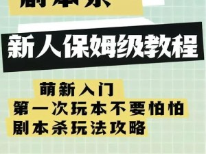 新手攻略揭秘：风暴对决生存法则与策略解析