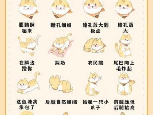 猫之城友善者情绪测试指南：如何选择最适合的猫咪伙伴