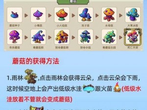 幻兽合成揭秘：探索陨石神秘魅力，解锁全新合成体验