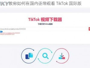 教你如何在国内正常观看 TikTok 国际版