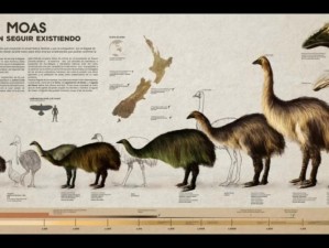 您的起源变异的恐鸟：揭秘神秘生物的自然演化之旅