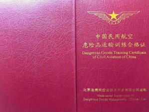 灭火宝贝航空版——高效灭火，安全可靠的航空必备品