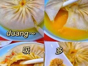 食物魅力揭秘：蟹黄汤包技艺全面展示