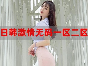 亚洲区欧美日韩综合，汇聚各国优质产品，满足您的多样化需求