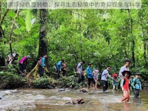 须弥漂浮绿色旋转物：探寻生态秘境中的奇异现象与科学之谜