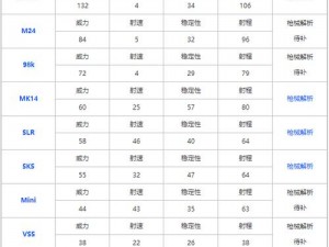 和平精英2月14日枪械Vector冲锋枪特性解析：使用与探讨类型与效能表现